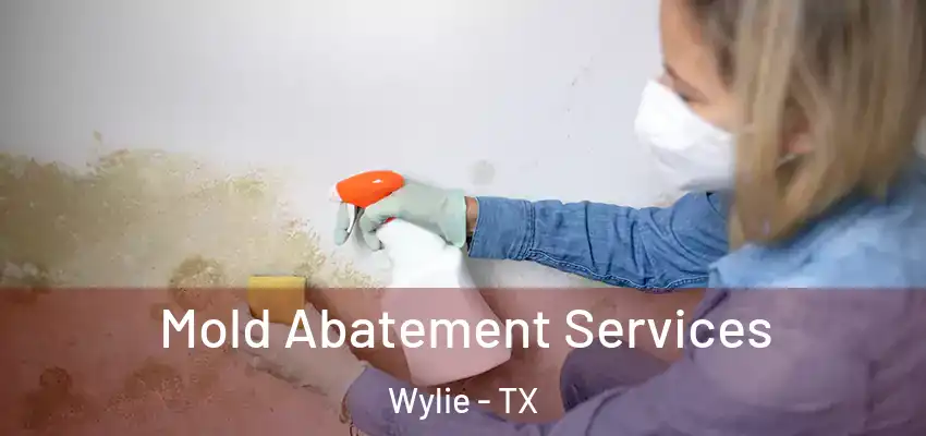 Mold Abatement Services Wylie - TX