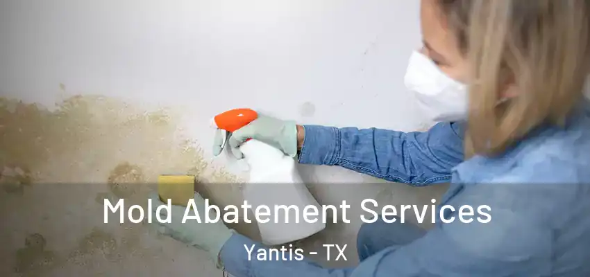 Mold Abatement Services Yantis - TX