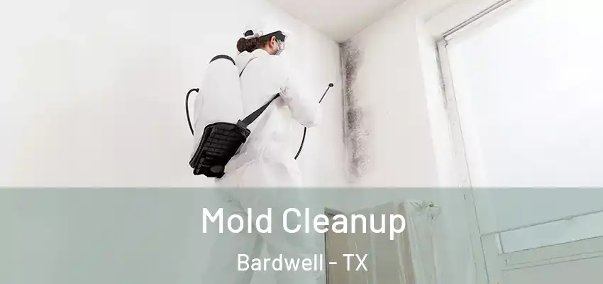 Mold Cleanup Bardwell - TX