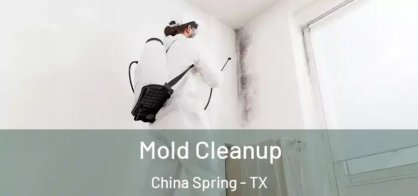 Mold Cleanup China Spring - TX