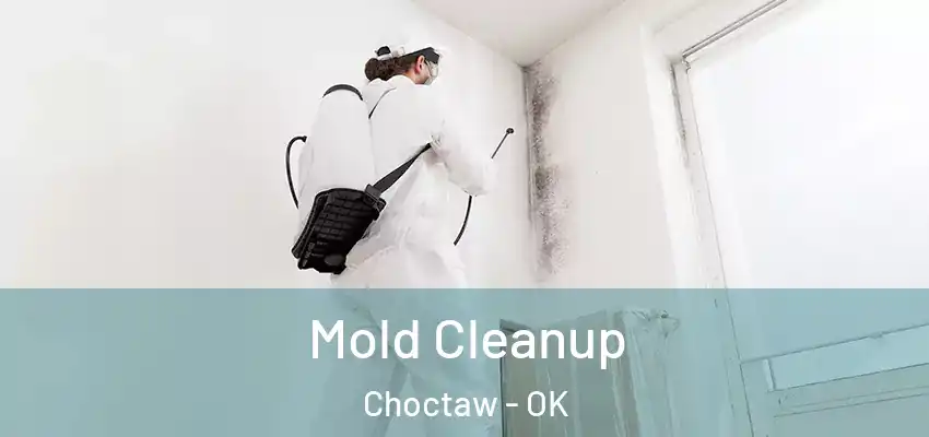  Mold Cleanup Choctaw - OK