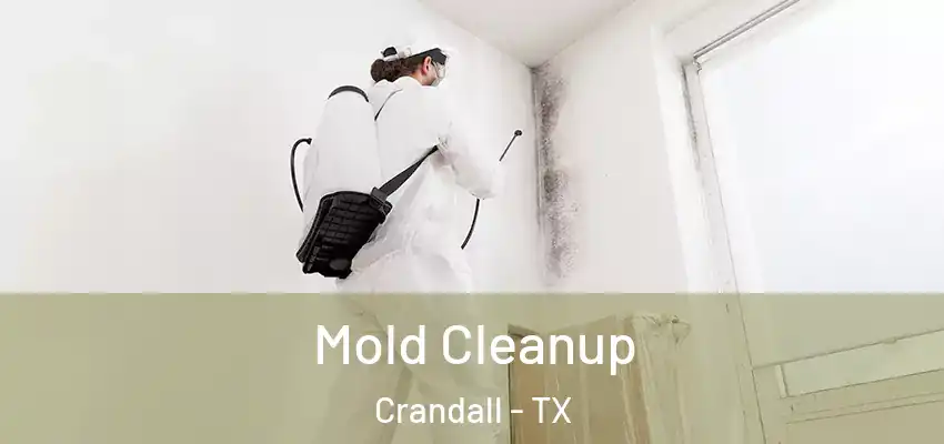 Mold Cleanup Crandall - TX
