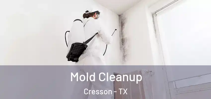 Mold Cleanup Cresson - TX
