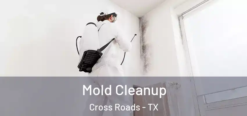 Mold Cleanup Cross Roads - TX