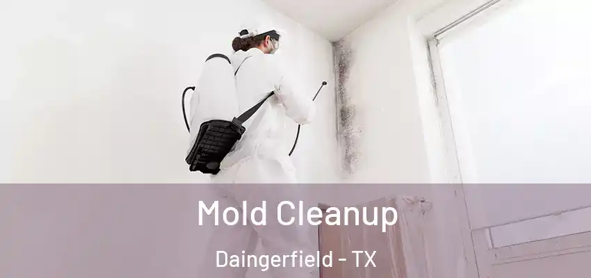  Mold Cleanup Daingerfield - TX