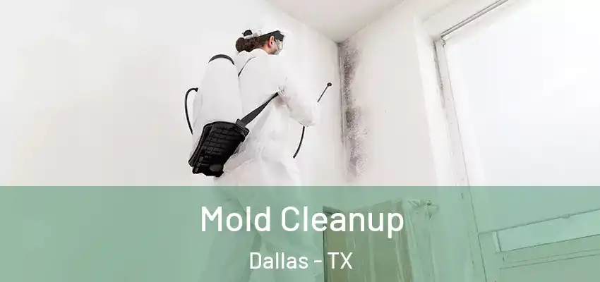  Mold Cleanup Dallas - TX