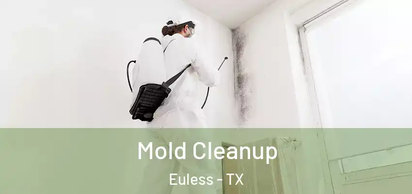 Mold Cleanup Euless - TX