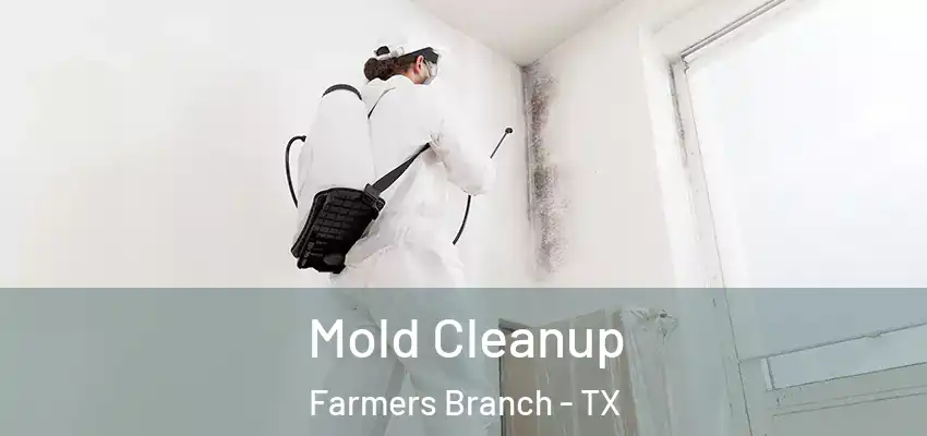  Mold Cleanup Farmers Branch - TX