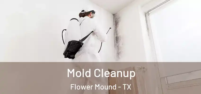 Mold Cleanup Flower Mound - TX