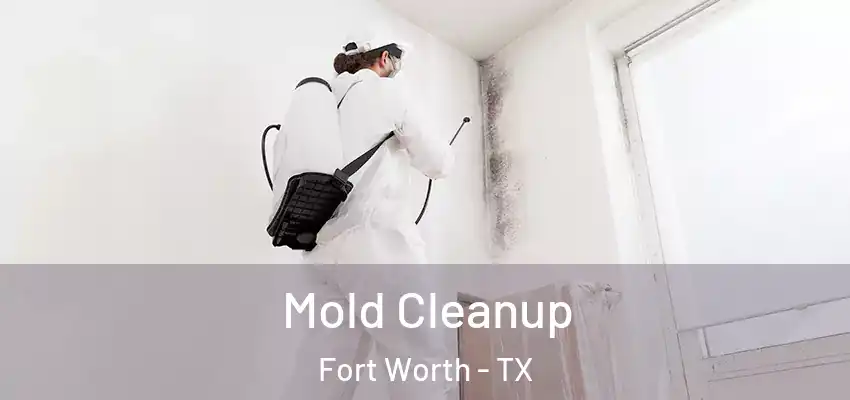 Mold Cleanup Fort Worth - TX