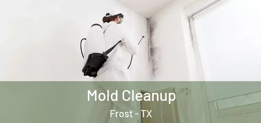 Mold Cleanup Frost - TX