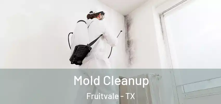  Mold Cleanup Fruitvale - TX