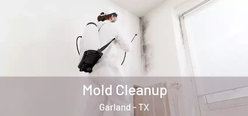 Mold Cleanup Garland - TX