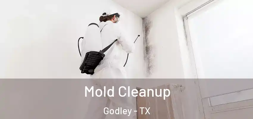 Mold Cleanup Godley - TX