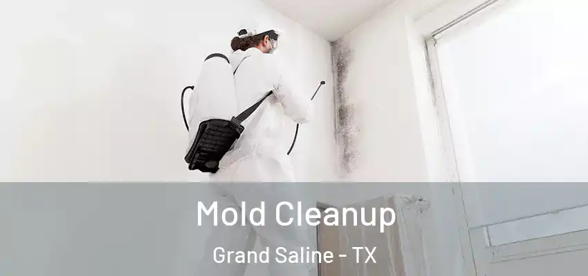 Mold Cleanup Grand Saline - TX