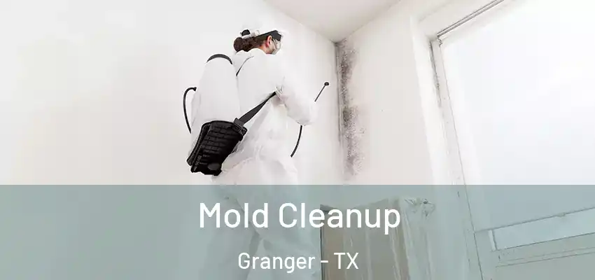 Mold Cleanup Granger - TX