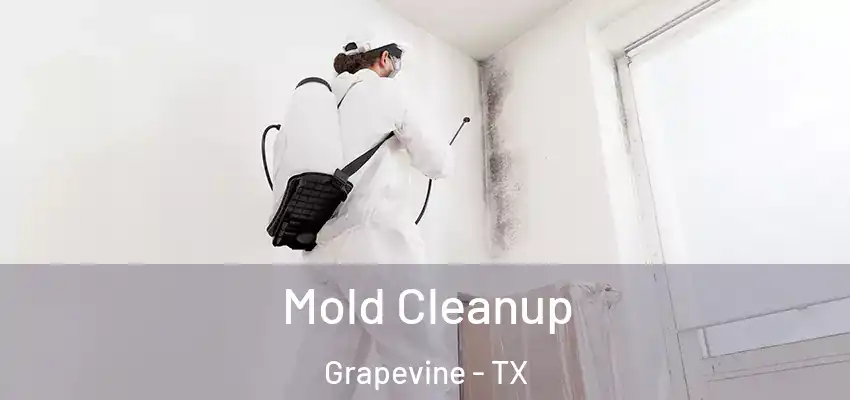 Mold Cleanup Grapevine - TX
