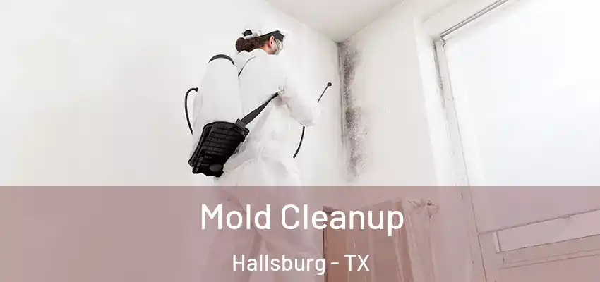 Mold Cleanup Hallsburg - TX