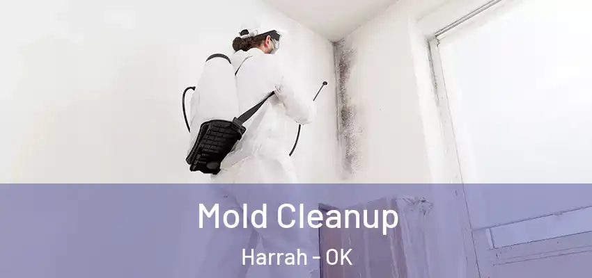 Mold Cleanup Harrah - OK