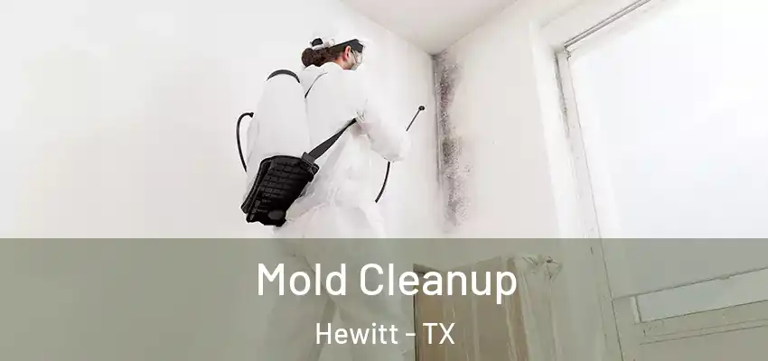 Mold Cleanup Hewitt - TX