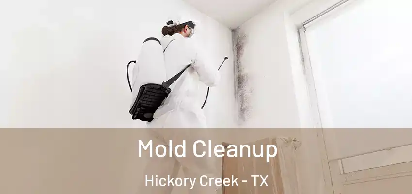  Mold Cleanup Hickory Creek - TX