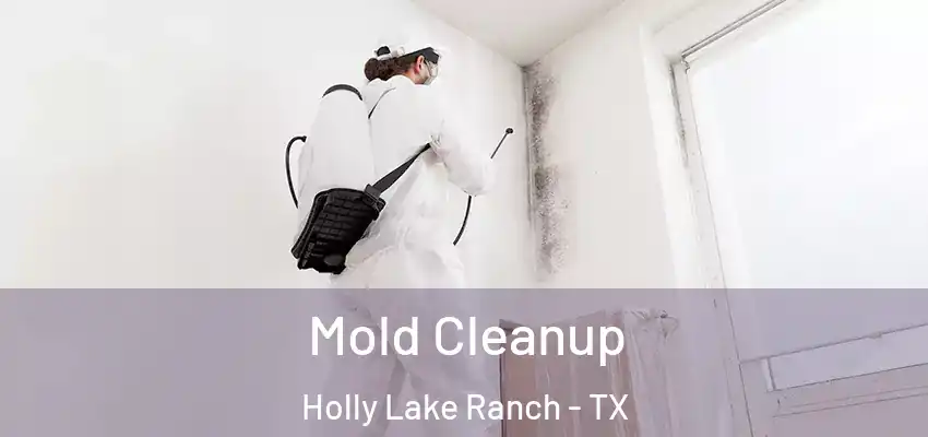 Mold Cleanup Holly Lake Ranch - TX