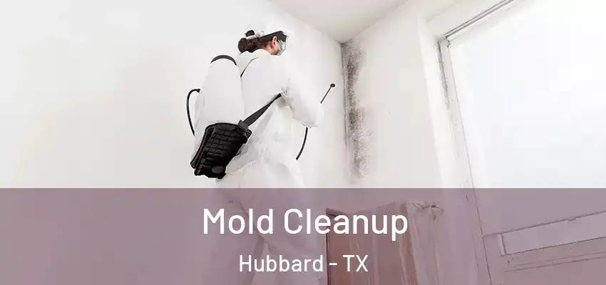 Mold Cleanup Hubbard - TX