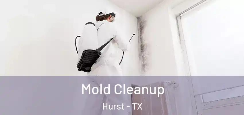 Mold Cleanup Hurst - TX