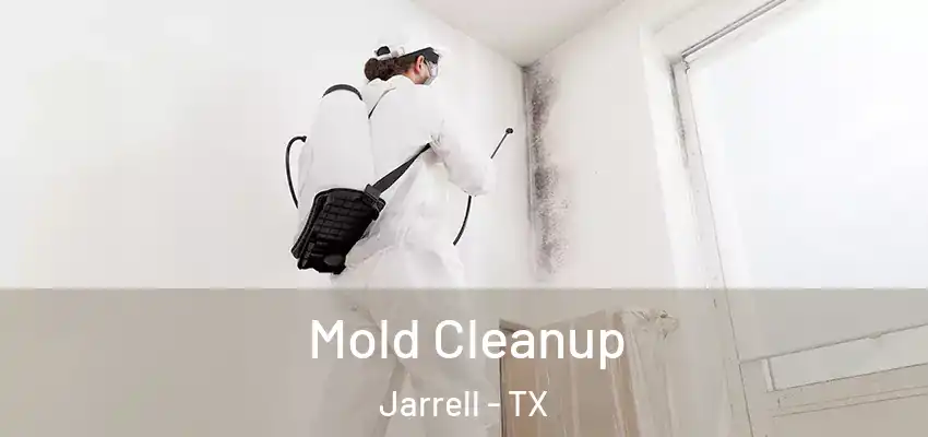 Mold Cleanup Jarrell - TX