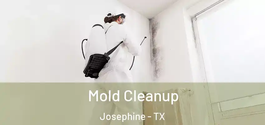 Mold Cleanup Josephine - TX