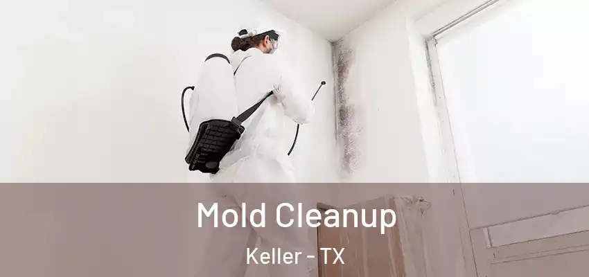 Mold Cleanup Keller - TX