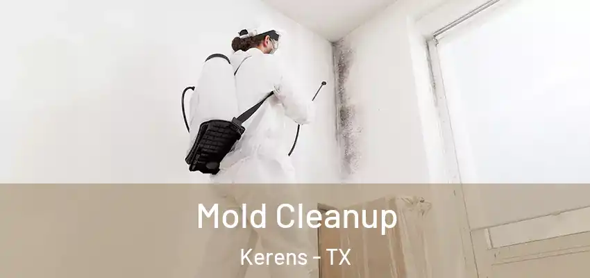 Mold Cleanup Kerens - TX