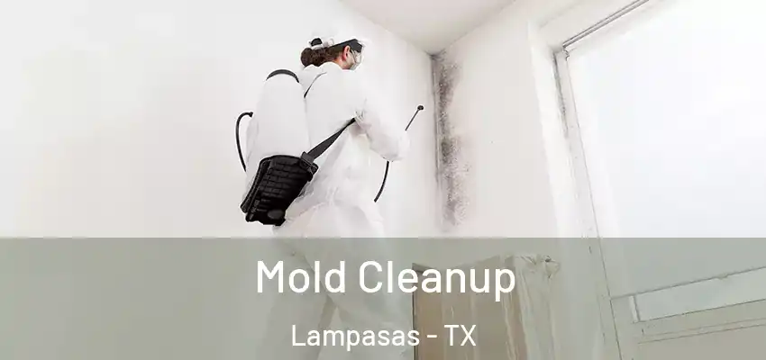  Mold Cleanup Lampasas - TX