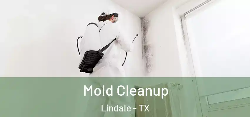  Mold Cleanup Lindale - TX