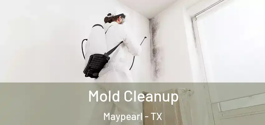 Mold Cleanup Maypearl - TX