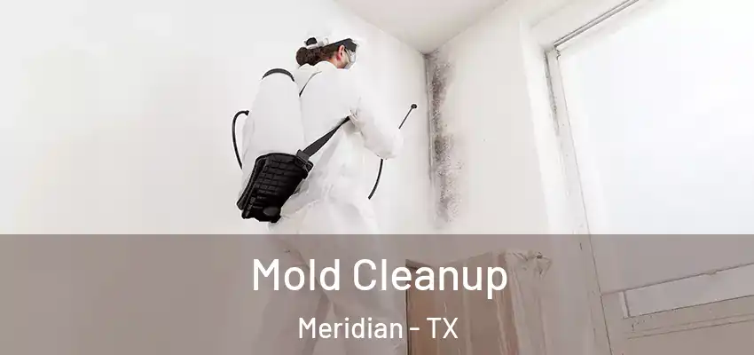  Mold Cleanup Meridian - TX