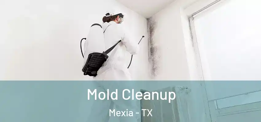 Mold Cleanup Mexia - TX