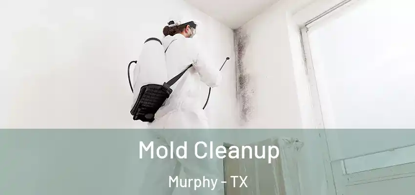 Mold Cleanup Murphy - TX