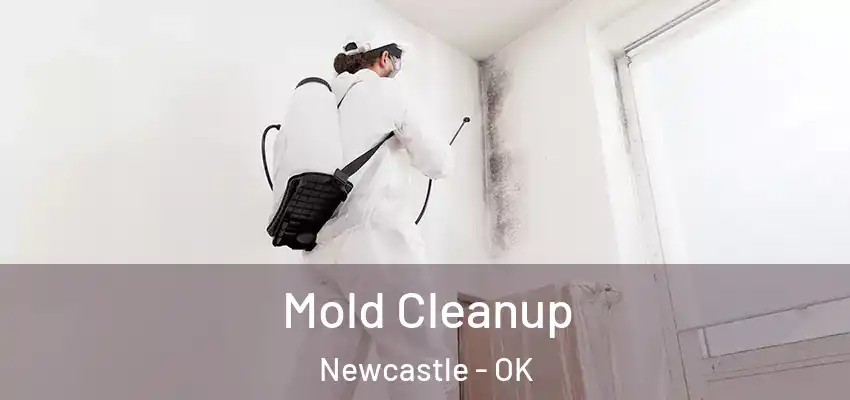Mold Cleanup Newcastle - OK