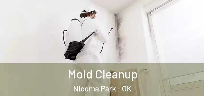 Mold Cleanup Nicoma Park - OK