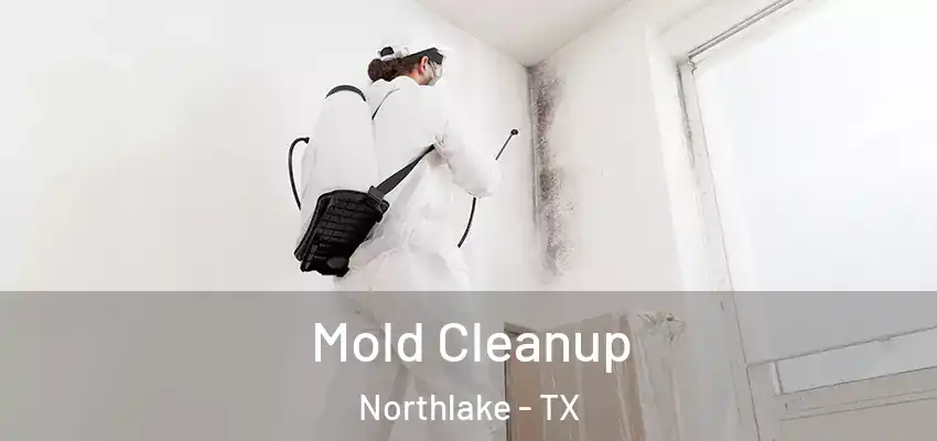 Mold Cleanup Northlake - TX