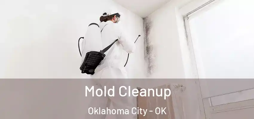 Mold Cleanup Oklahoma City - OK