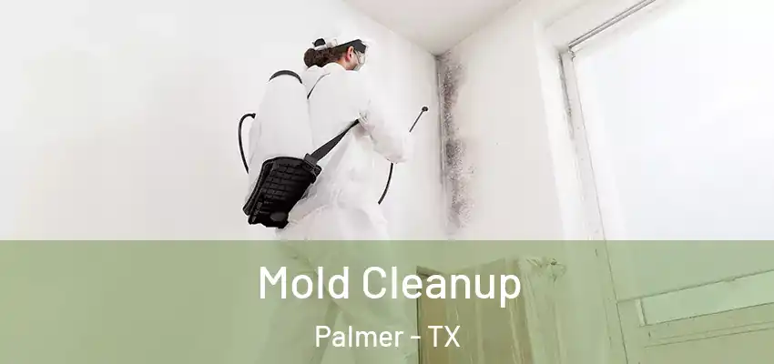 Mold Cleanup Palmer - TX