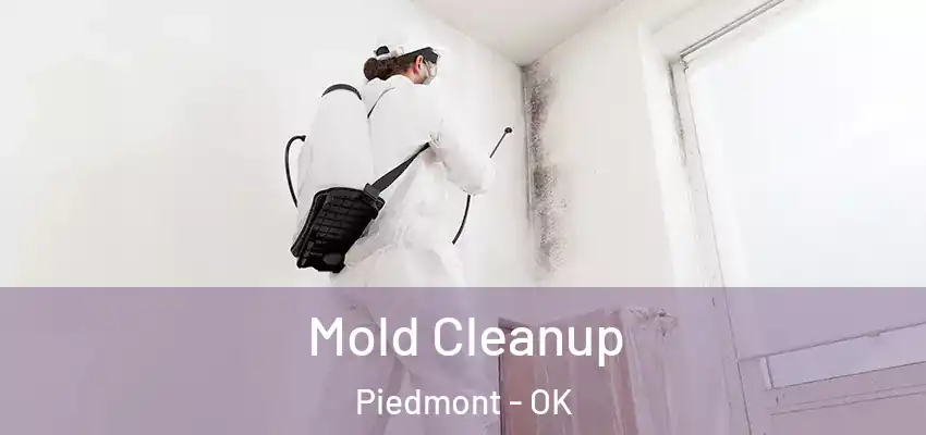 Mold Cleanup Piedmont - OK