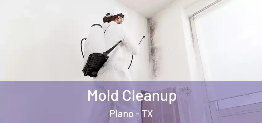 Mold Cleanup Plano - TX