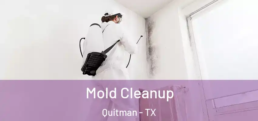 Mold Cleanup Quitman - TX