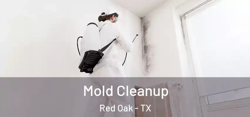  Mold Cleanup Red Oak - TX