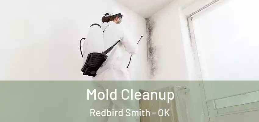 Mold Cleanup Redbird Smith - OK