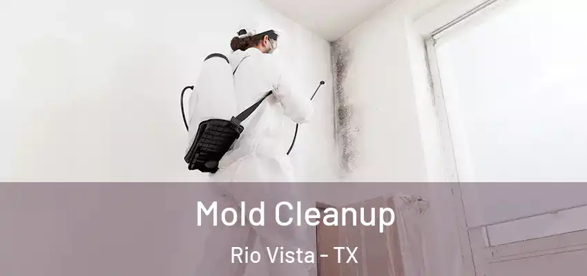  Mold Cleanup Rio Vista - TX