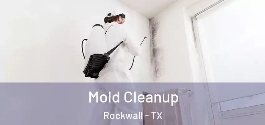  Mold Cleanup Rockwall - TX